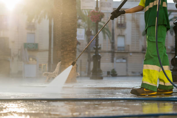 Best Roof Washing  in Effort, PA